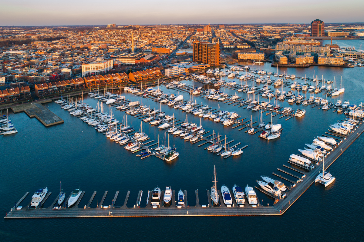 The Anchorage